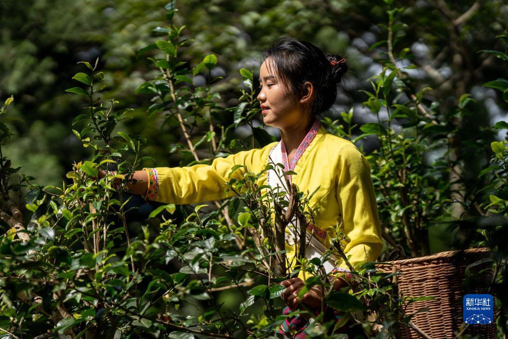 提现游戏软件